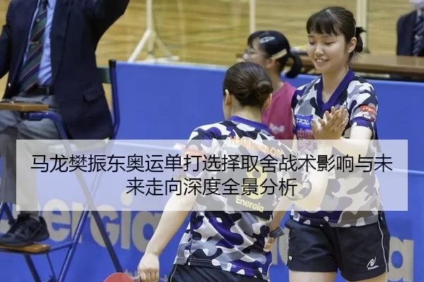 马龙樊振东奥运单打选择取舍战术影响与未来走向深度全景分析