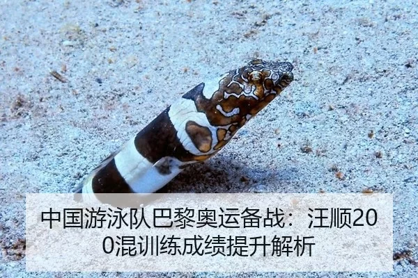 中国游泳队巴黎奥运备战：汪顺200混训练成绩提升解析